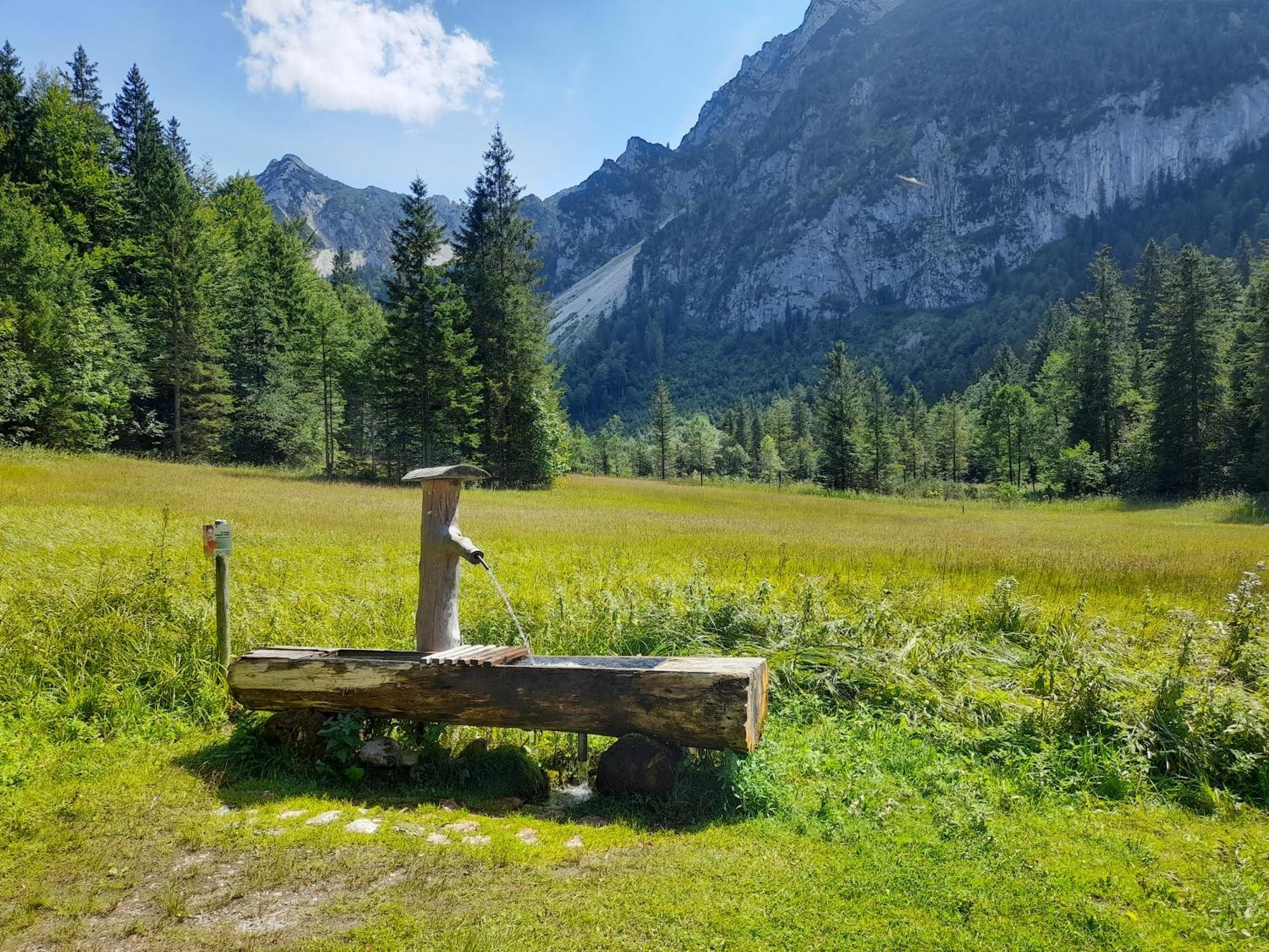 Im Naturgarten Teisendorf Kültér fotó
